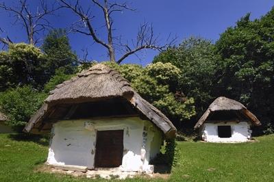 Cáki pincesor-stock-foto