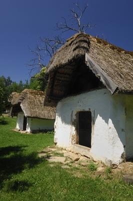 Cáki pincesor-stock-foto