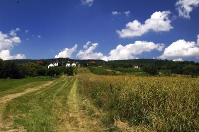 Tájkép Bozsok határában-stock-foto