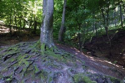 Az Írottkő Naturpark-stock-foto