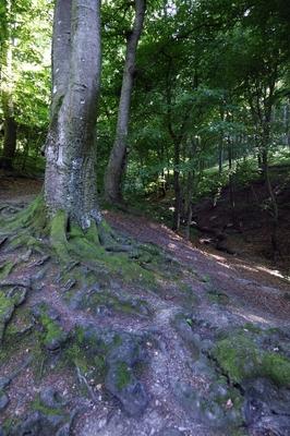 Az Írottkő Naturpark-stock-foto