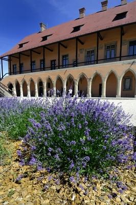A gótikus Püspöki palota az egri várban-stock-foto