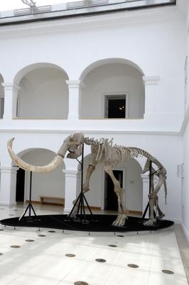 Gyöngyös, Mátra Múzeum-stock-foto