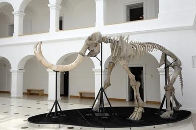 Gyöngyös, Mátra Múzeum-stock-foto