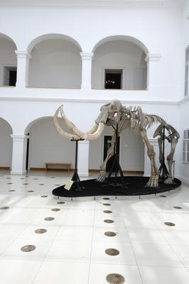 Gyöngyös, Mátra Múzeum-stock-foto