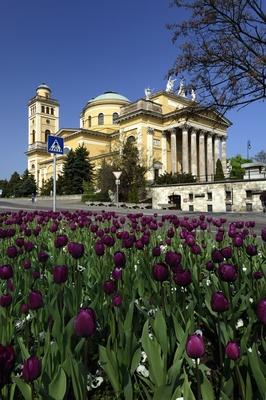 Szent Mihály- és Szent János-főszékesegyház, Eger-stock-foto
