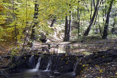 Szalajka-völgy-stock-foto