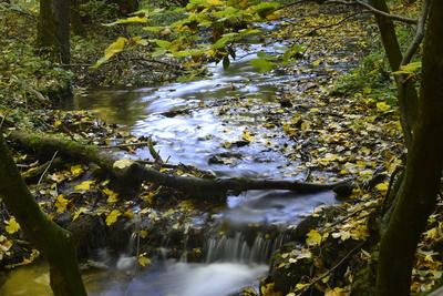Szalajka-völgy-stock-foto