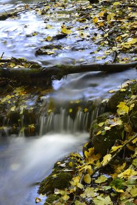 Szalajka-völgy-stock-foto