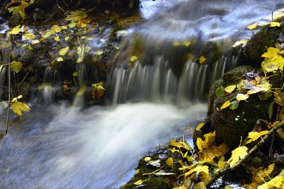 Szalajka-völgy-stock-foto