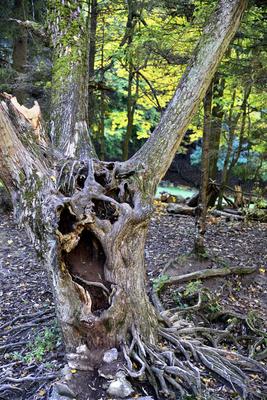 Szalajka-völgy-stock-foto