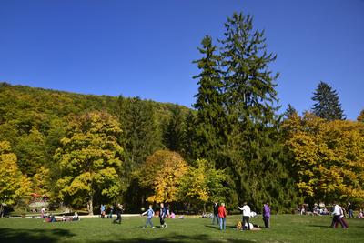 Szalajka-völgy-stock-foto