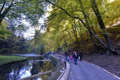 Szalajka-völgy-stock-foto