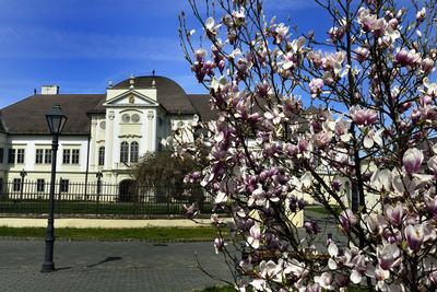 Szécsény-stock-foto