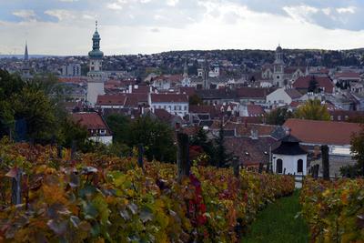 Sopron-stock-foto
