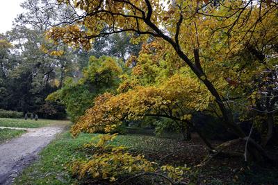 Szelestei Arborétum-stock-foto