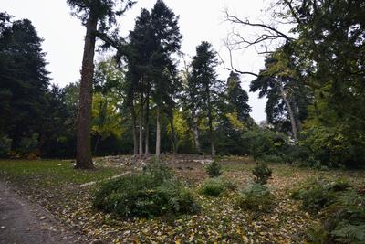 Szelestei Arborétum-stock-foto