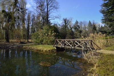 Kámoni Arborétum és Ökoturisztikai Központ-stock-foto