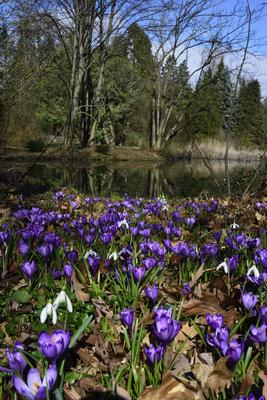 Kámoni Arborétum és Ökoturisztikai Központ-stock-foto