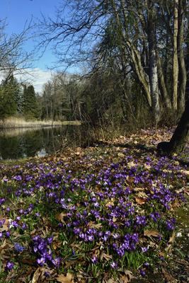 Kámoni Arborétum és Ökoturisztikai Központ-stock-foto