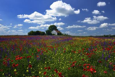 Alföldi tanyavilág-stock-foto