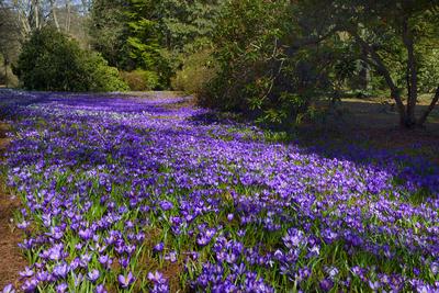 Kámoni Arborétum és Ökoturisztikai Központ-stock-foto