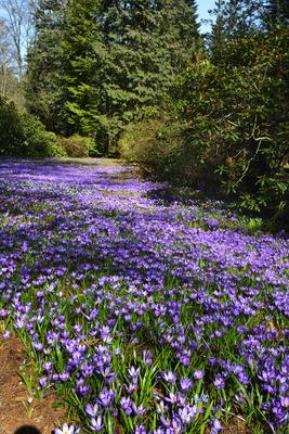 Kámoni Arborétum és Ökoturisztikai Központ-stock-foto