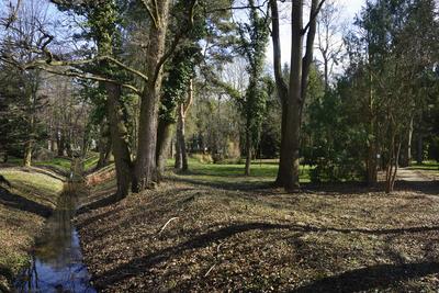 Kámoni Arborétum és Ökoturisztikai Központ-stock-foto