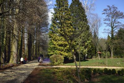 Kámoni Arborétum és Ökoturisztikai Központ-stock-foto