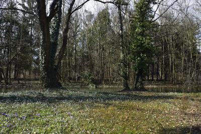 Kámoni Arborétum és Ökoturisztikai Központ-stock-foto