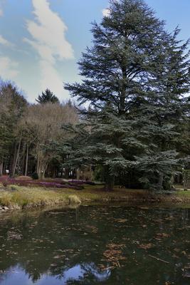 Kámoni Arborétum és Ökoturisztikai Központ-stock-foto