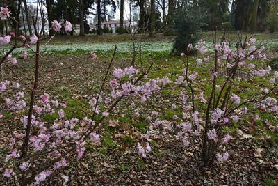 Kámoni Arborétum és Ökoturisztikai Központ-stock-foto