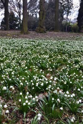 Kámoni Arborétum és Ökoturisztikai Központ-stock-foto