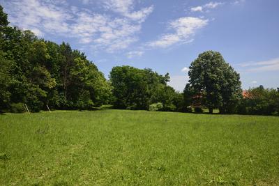 Szelestei Arborétum-stock-foto