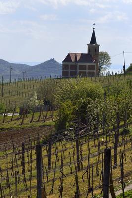 Szent György-hegy-stock-foto