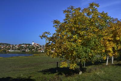 Tihany-stock-foto