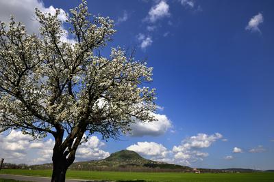 Balaton-felvidék-stock-foto
