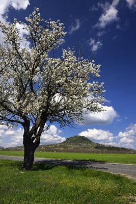 Balaton-felvidék-stock-foto