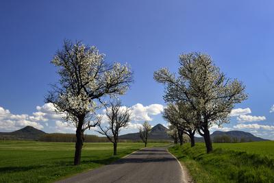 Balaton-felvidék-stock-foto