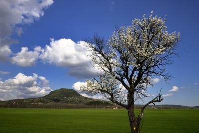 Balaton-felvidék-stock-foto