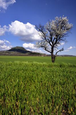 Balaton-felvidék-stock-foto