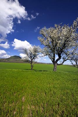 Balaton-felvidék-stock-foto