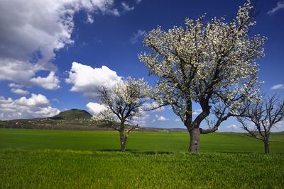 Balaton-felvidék-stock-foto