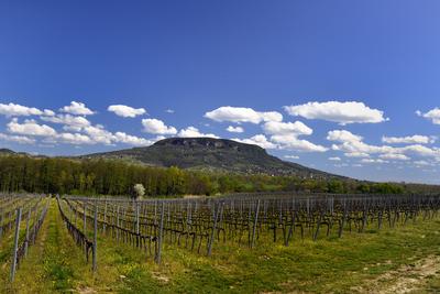Balaton-felvidék-stock-foto