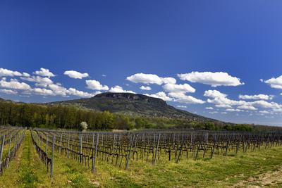 Balaton-felvidék-stock-foto