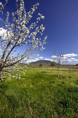 Balaton-felvidék-stock-foto