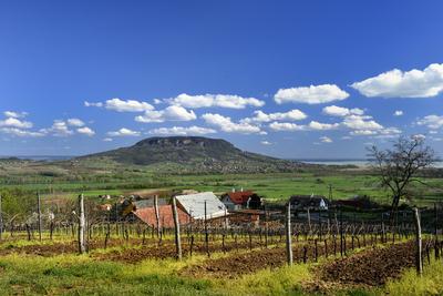 Balaton-felvidék-stock-foto