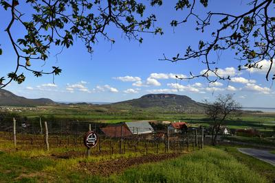 Balaton-felvidék-stock-foto
