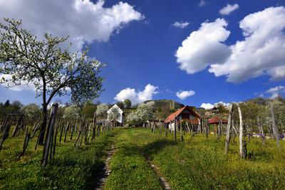 Balaton-felvidék-stock-foto
