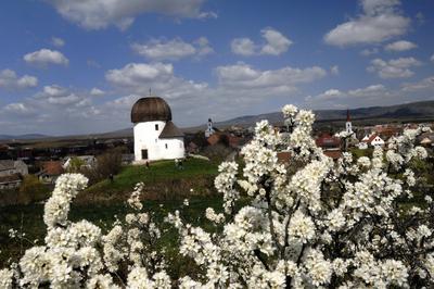 Ösküi kerektemplom-stock-foto